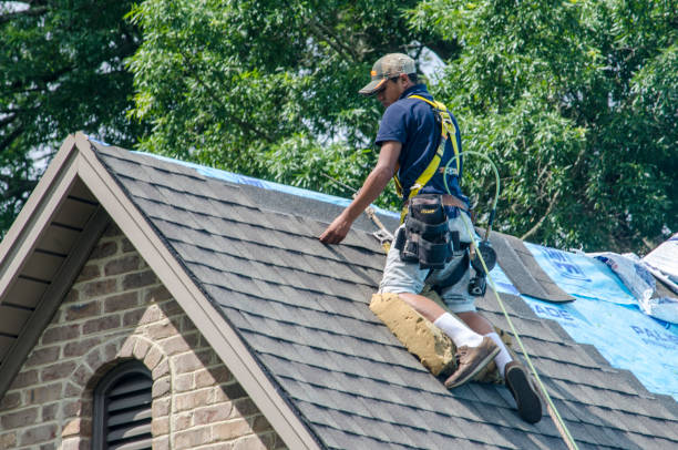 Best New Roof Installation  in Delta, CO